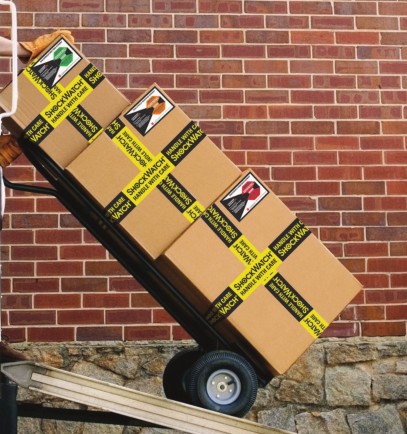 1731907043288260.png 圖片1.png